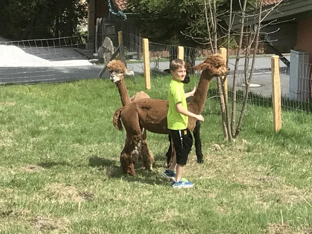 Myapart Jochberg Dış mekan fotoğraf